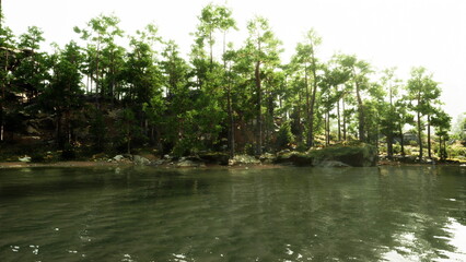 Tall green trees stand along the waters edge, their reflection shimmering in the calm surface. Sunlight filters through the branches, creating a peaceful atmosphere in nature.