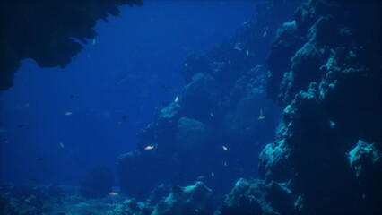 Fototapeta premium Brightly colored fish swim gracefully around rocky formations in deep blue waters. Sunlight filters through the surface, illuminating the underwater world. A serene exploration of ocean beauty awaits.