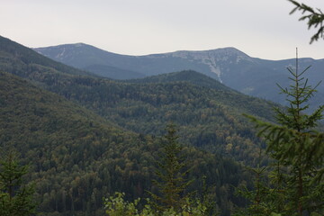 Scenic forested hills and Dovbushanka peak