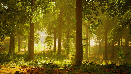 A serene forest comes alive as sunlight streams through vibrant green leaves. Nature thrives with gentle shadows falling on the forest floor, inviting peaceful exploration and reflection.