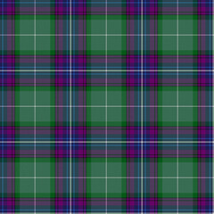 Blue, Green, Red, White, Black, Purple Tartan Weave Pattern - Tile