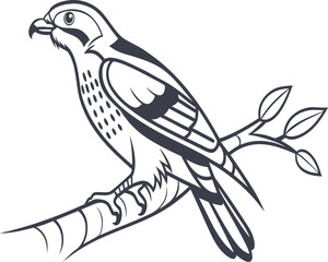 Illustration of a falcon perched on a branch