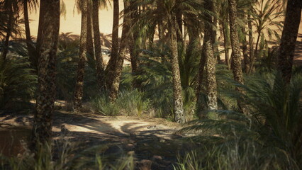 Wander down a serene dirt path lined with tall palm trees and vibrant greenery, bathed in the soft glow of a warm sunset over the desert landscape, inviting adventure and peace.