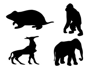 Black vector silhouettes set of various wild mammals and safari animals collection isolated PNG with Transparent Background
