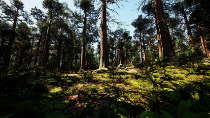 A tranquil forest scene features tall trees with thick trunks and vibrant green undergrowth. Sunlight streams down, creating a serene atmosphere filled with the sounds of nature.