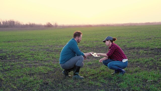 Farmers teaming up to make a business plan in the tablet in the field, the concept of rural life, agricultural work on fertilization with organic substances of the farm, senior agronomist.