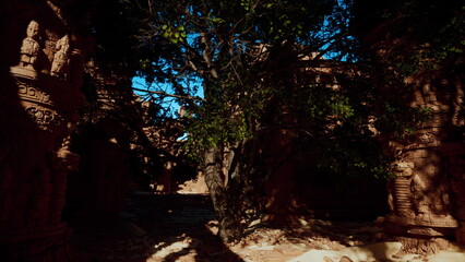 Obraz premium Surrounded by towering ancient stone structures, a large tree thrives in the center, offering shade and life. Light filters through the leaves, creating a peaceful ambiance in this historical site.