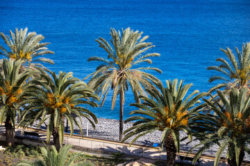 Panoramic view of Funchal in Madeira, Portugal