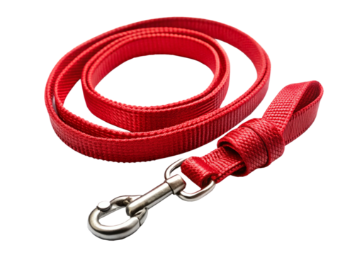 Red nylon dog leash laying on clear surface, highlighting quality pet equipment with minimalist design aesthetic isolated on white background