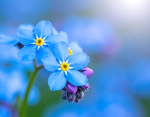 Obraz premium Close-up of bright blue flowers with yellow centers and a soft blur
