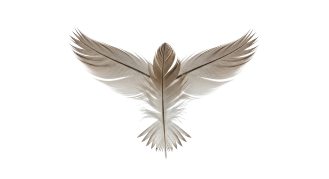 Feather arrangement resembling wings isolated PNG with Transparent Background