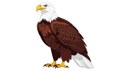 Obraz premium Majestic bald eagle standing proudly, symbol of freedom and power