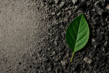Green leaf on dark concrete or asphalt. Space for text.