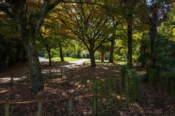 Grand Blottereau : Évasion Nature à Nantes