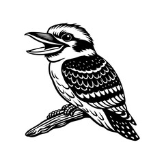 Kookaburra Perched Head Tilted Back Laughing