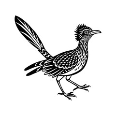 Roadrunner Fast Running Stride