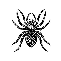 Spider Tarantula Or Black Widow