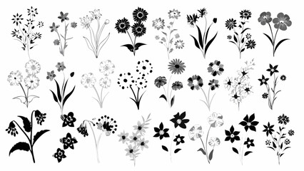 Elegant botanical assortment with monochrome floral elements for sophisticated designs, ideal for invitations, branding, and artistic projects, originally a vector