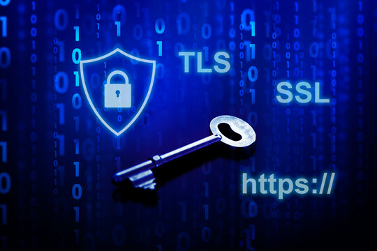 https , TLS , SSL , network security protocal 