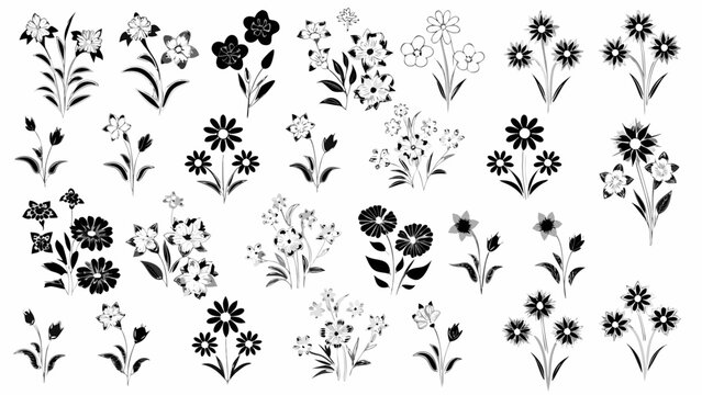 Elegant floral design elements for creating stunning patterns, invitations, and artistic projects with a clean, modern aesthetic, originally created as a scalable vector