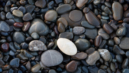 Wet  Pebbles stones on seashore as  texture background for design web banner template page. SPA concept background.