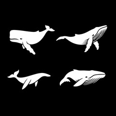 Whales in Black Illustrations Depicting Marine Mammals
