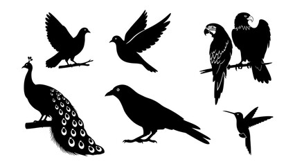 Vector Design with Diverse Black Bird Silhouettes on White Background