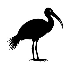 Minimalist Black Ibis Bird Silhouette Vector Graphic Isolated on White