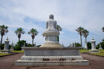 Fototapeta premium Palm Grove and Peace Stupa
