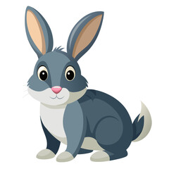 Rabbit vector on white background