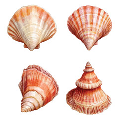 Obraz premium Adobe Illustrator Artwork