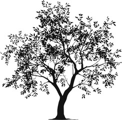 Obraz premium Tree silhouette vector, detailed leafy branches and trunk on white background — stock vector.