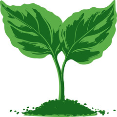 Obraz premium Young plant vector, hand drawn sprout with two green leaves and soil — stock vector.