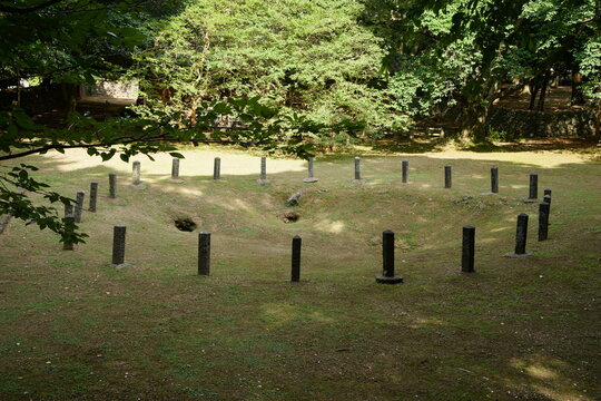Stone Posts Around the Hollow