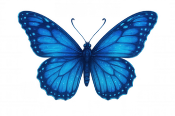 Morpho butterfly drawing with bright blue wings, iridescent patterns, delicate antennae, and transparent background