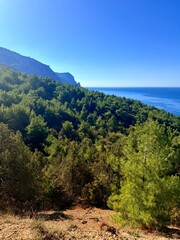 fantastic blue seascape, rocky sea coast, blue sea and blue sky