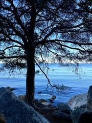fantastic blue seascape, rocky sea coast, blue sea and blue sky