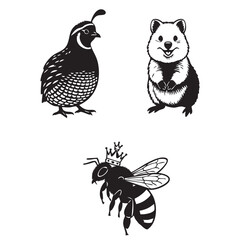Fototapeta premium Quail, Quokka, Queen bee Silhouette vector 