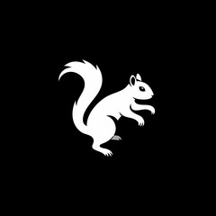 Obraz premium White squirrel on black background