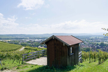 Schwarzwald Landschaft - Das Dorf Efringen-Kirchen mit Blick auf die Rheinebene. Blick Richtung Süden vom Weinberg-Panoramaweg Schalberg

