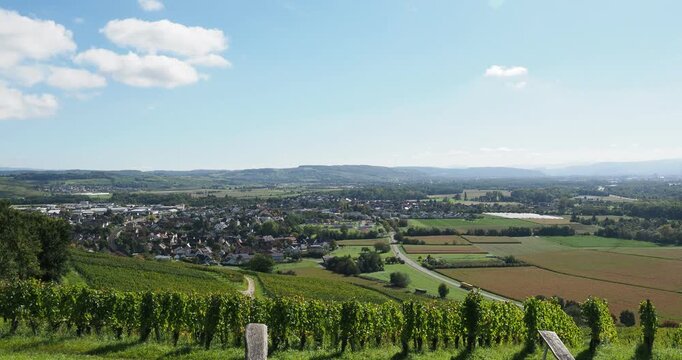 Schwarzwald Landschaft. Herrlicher S&uuml;dblick &uuml;ber einen Teil des Dorfes Efringen-Kirchen, den Schweizer Jura und das Rheintal vom Weinlehrpfad auf dem Schafberg