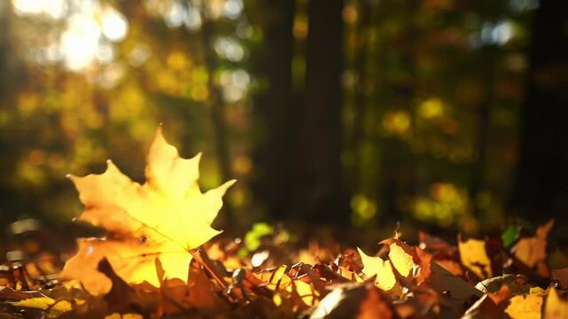 Extreme close-up of a vibrant golden-yellow maple leaf twirling in ultra-slow motion, settling onto a soft autumn leaf carpet with blurred golden hour bokeh. Profound quiet beauty of late autumn