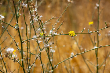 Fuencarral - El Pardo, Madrid