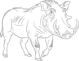 Obraz premium Warthog Line Drawing, African Animal on a Plain Background