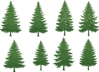 Cartoon evergreen tree illustration set, conical foliage, forest elements, green trees, nature design, seasonal vegetation, botanical shapes, outdoor theme, plant variety