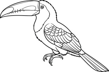Fototapeta premium Toucan Illustration, Black Outline of Tropical Bird on White