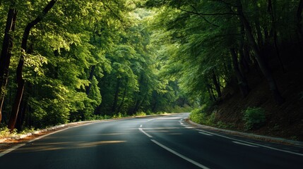 Empty winding road through a dense, green forest with sunlight filtering through the trees. Scenic travel and journey concept for summer.