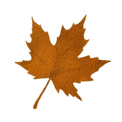 A brown Maple leaf in Autumn