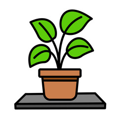 Bright Monstera Plant in Clay Planter