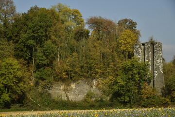 Mur et tour en pierres en ruines en pleine végétation luxuriante en automne à Écaussinnes d'Enghien (Soignies)